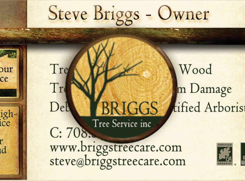 Briggs Tree Setvice